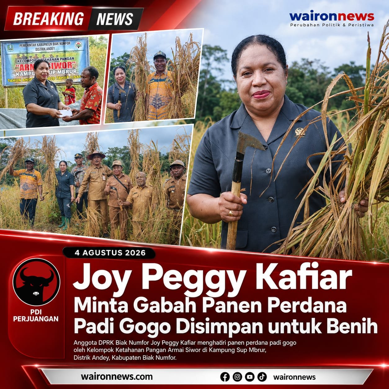 Joy Peggy Kafiar Minta Gabah Panen Perdana Padi Gogo Disimpan untuk Benih