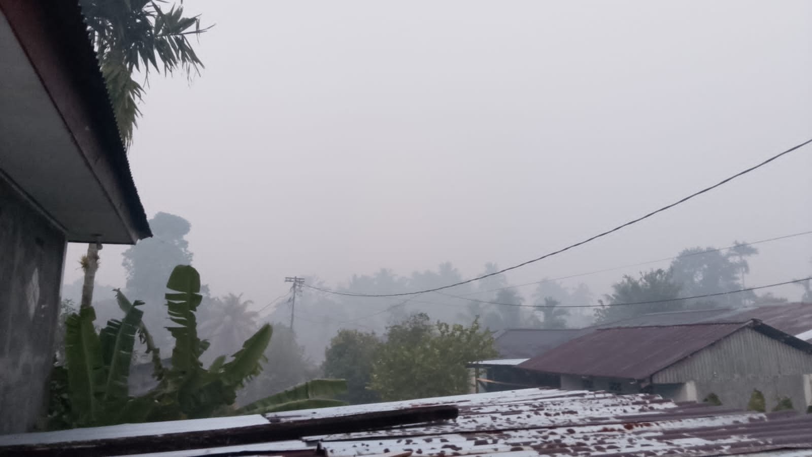 Kota Biak Dilanda Kabut Asap, Warga Resah hingga Layanan Publik Terganggu